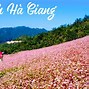 Đà Nẵng Hà Giang