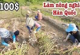 Làm Nông Nghiệp Tại Hàn Quốc 2020 Pdf Free Download