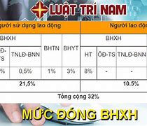 Tiền Lương Tính Đóng Bhxh Bắt Buộc Bhyt Năm 2023