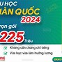 Trải Nghiệm Du Học Hè Hàn Quốc 2024 Tại Tphcm Mới Nhất